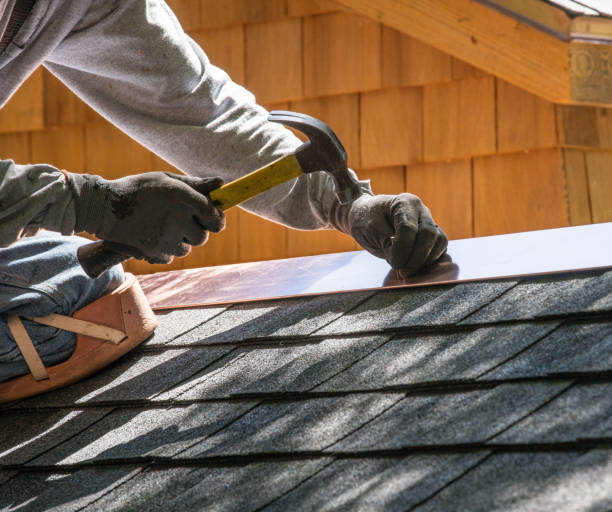 Best Roof Gutter Cleaning  in Pell City, AL